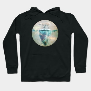 Polar Bear on an Iceberg - Climate Change Hoodie